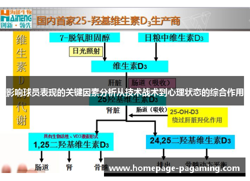 影响球员表现的关键因素分析从技术战术到心理状态的综合作用 影响球员表现的关键因素分析从技术战术到心理状态的综合作用