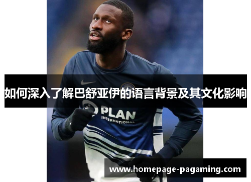如何深入了解巴舒亚伊的语言背景及其文化影响 如何深入了解巴舒亚伊的语言背景及其文化影响