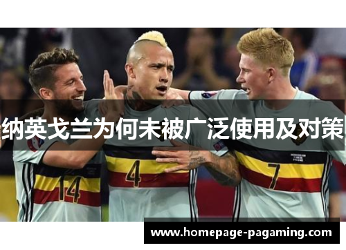 纳英戈兰为何未被广泛使用及对策 纳英戈兰为何未被广泛使用及对策
