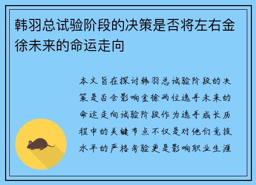 韩羽总试验阶段的决策是否将左右金徐未来的命运走向